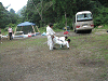 camp22 (251)_samu.gif